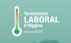 Colchagua lidera la tasa de ocupación a nivel regional
