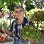 Proyecto propicia una agricultura sostenible e identidad alimentaria en tres comunas de Colchagua y Cardenal Caro