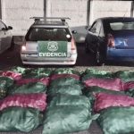 Detienen a seis sujetos por robo de kiwis en Chimbarongo