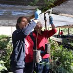 Fortalecen trabajo colaborativo en viveros CONAF de Palmilla y Lolol