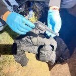 PERALILLO: En prisión preventiva quedan imputados por homicidio