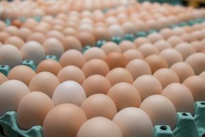 Abordan los desafíos sanitarios para la producción nacional de huevos